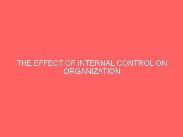 the effect of internal control on organization performance of local government 59894