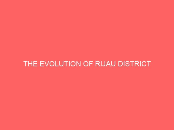 the evolution of rijau district 80956