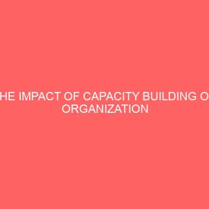 the impact of capacity building on organization success 57338