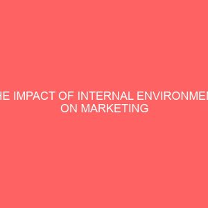 the impact of internal environment on marketing organization a case study of shoprite ilorin 43884