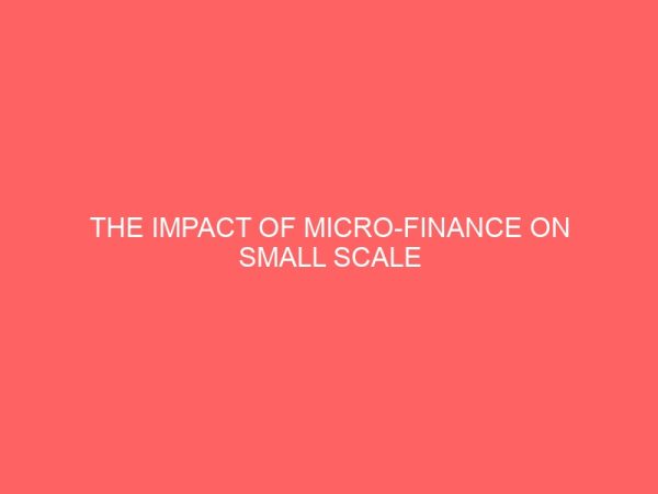 the impact of micro finance on small scale business in nigeria 55628