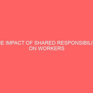the impact of shared responsibility on workers productivity in government own establishment vis a vis study on its current challenges 84047