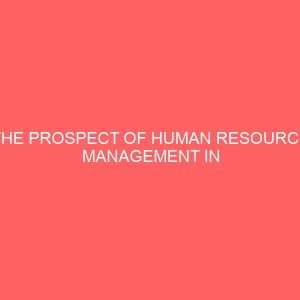 the prospect of human resource management in enhancing higher productivity in an construction company 84115
