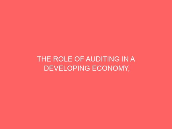 the role of auditing in a developing economy nigeria experience 58464