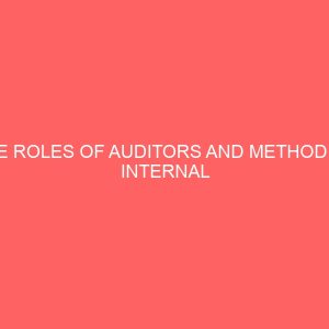 the roles of auditors and method of internal control in local government 59678