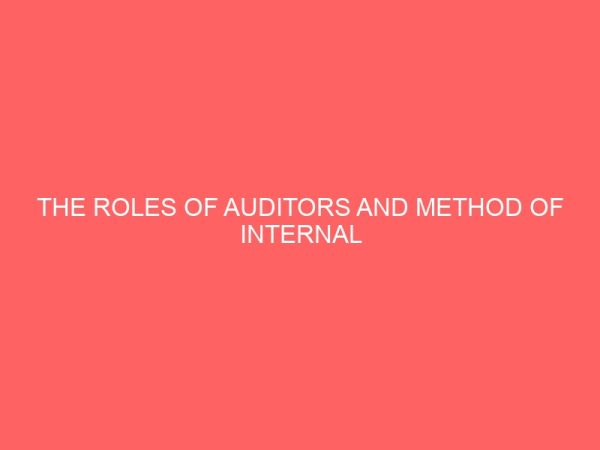the roles of auditors and method of internal control in local government 59678