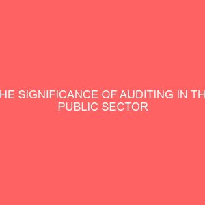 the significance of auditing in the public sector 59470