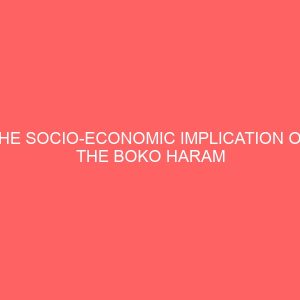 the socio economic implication on the boko haram insurance in nigeria 2009 2013 60977