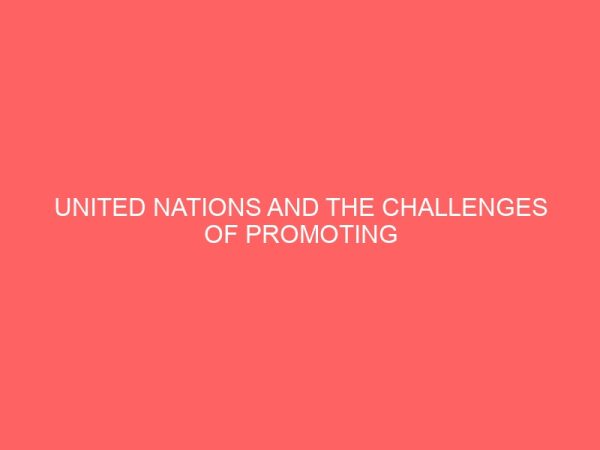 united nations and the challenges of promoting gender equality in nigeria 80992
