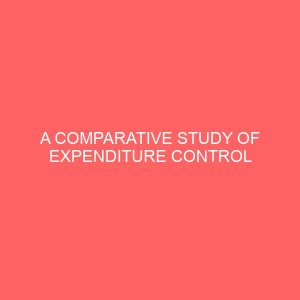a comparative study of expenditure control methods in government and privately owned hospitals a study of university of nigeria teaching hospital enugu and toronto hospital onitsha 2 32497