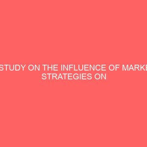 a study on the influence of market strategies on business performance in nigeria 13244