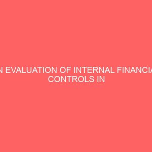 an evaluation of internal financial controls in public hospitals 13252
