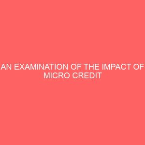 an examination of the impact of micro credit programmes on entrepreneurship development in akwa ibom and cross river states 27285