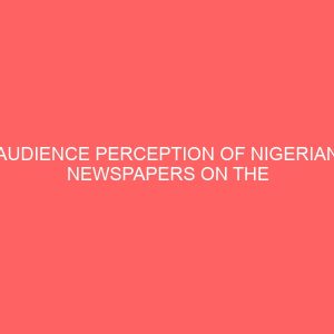 audience perception of nigerian newspapers on the internet 13102