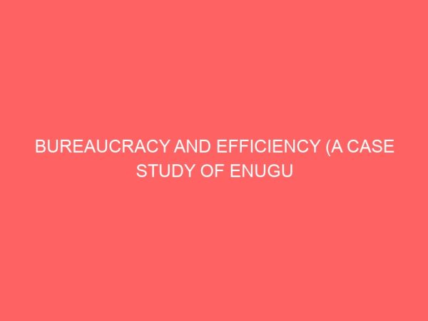 bureaucracy and efficiency a case study of enugu state civil service 40038