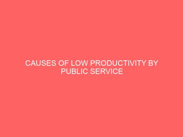 causes of low productivity by public service workers a case study of the national electric power authority eedc 2 13996