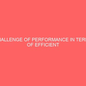 challenge of performance in terms of efficient and effective utilization of the available resources in nigeria 2 17234