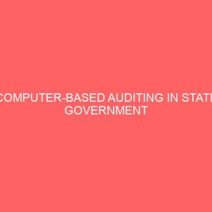 computer based auditing in state government administration system a case study of abia state government 24961