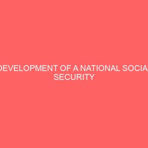 development of a national social security numbering system 23624