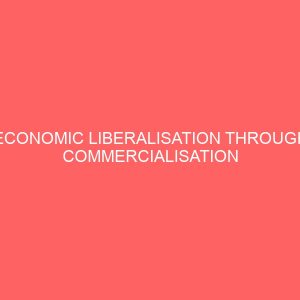 economic liberalisation through commercialisation of public enterprises a case study of power holding company of nigeria phcn 32666
