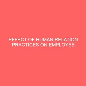 effect of human relation practices on employee performance in opobo nkoro council 38593