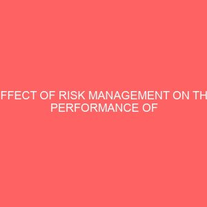 effect of risk management on the performance of selected commercial banks in enugu state 18691