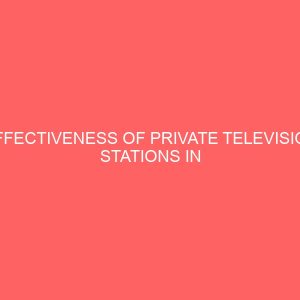 effectiveness of private television stations in cultural promotion 13882
