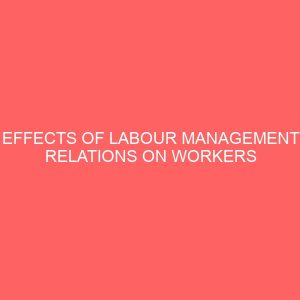 effects of labour management relations on workers productivity in an organisation a case study of power holding company of nigeria 14555