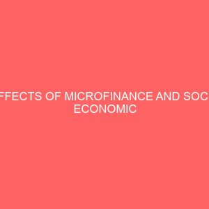 effects of microfinance and socio economic empowerment of women in nigeria 2 13258