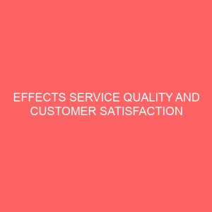 effects service quality and customer satisfaction in public sector organizations in nigeria 13256