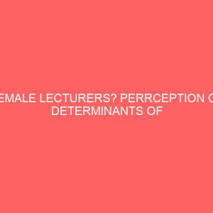 female lecturers perrception of determinants of impulse buying in universities in north east nigeria 13334