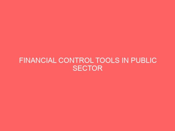 financial control tools in public sector organizations in nigeria 18078