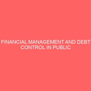 financial management and debt control in public enterprises in nigeria 17741