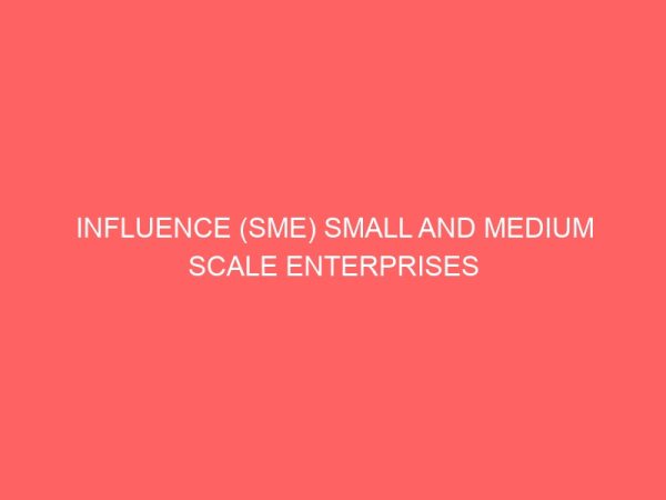 influence sme small and medium scale enterprises 13916