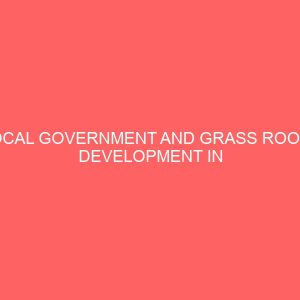 local government and grass roots development in nigeria 106997