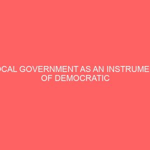 local government as an instrument of democratic sustainability 39510