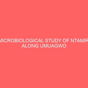 microbiological study of ntamiri along umuagwo axis of the stream 2 12854