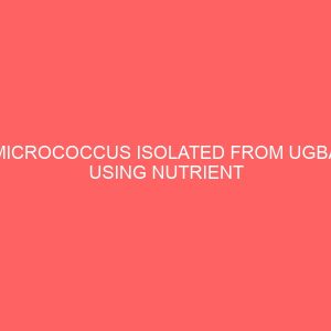 micrococcus isolated from ugba using nutrient broth 35542
