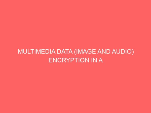 multimedia data image and audio encryption in a network environment 23347