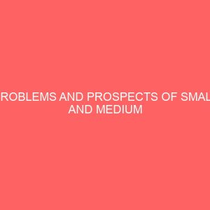problems and prospects of small and medium enterprises in nigeria a case study of nnewi north l g a anambra state 13134