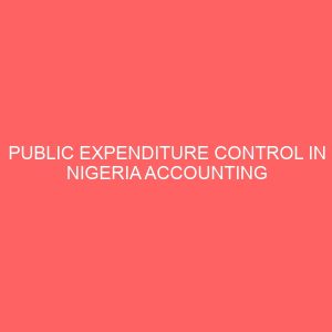 public expenditure control in nigeria accounting a case study ofaccess bank of nigeria 12822