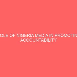 role of nigeria media in promoting accountability in government 42249