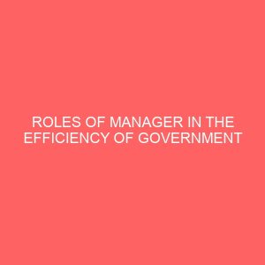 roles of manager in the efficiency of government corporation 2 17413