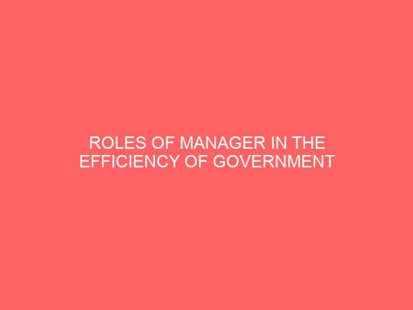 roles of manager in the efficiency of government corporation 2 17413