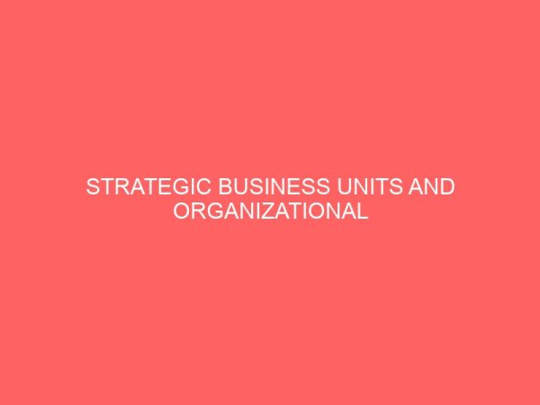 strategic business units and organizational peerformance in selected manufacturing companies in south east nigeria 13267