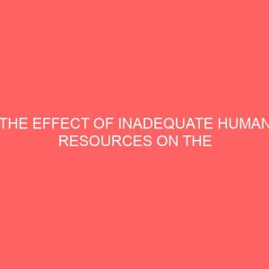 the effect of inadequate human resources on the performance of government establishments case study of ministry of finance 107074