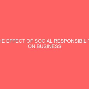 the effect of social responsibility on business organization in enugu state 27613