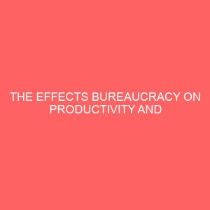 the effects bureaucracy on productivity and efficiency in the service delivery of the ministry of education oyo state nigeria 13558