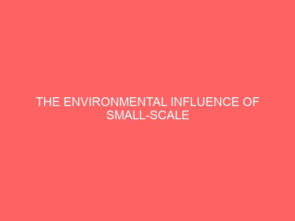 the environmental influence of small scale business in marketing their products in nigeria 14070