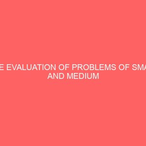 the evaluation of problems of small and medium scale industries 32594